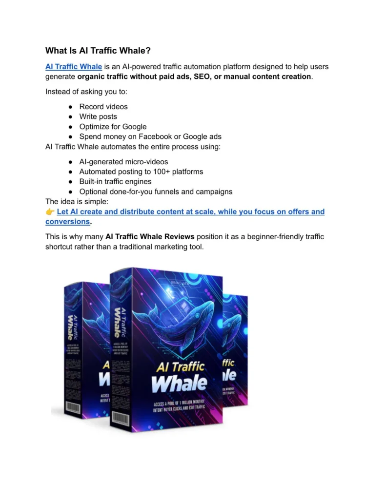 Why AI Traffic Whale?