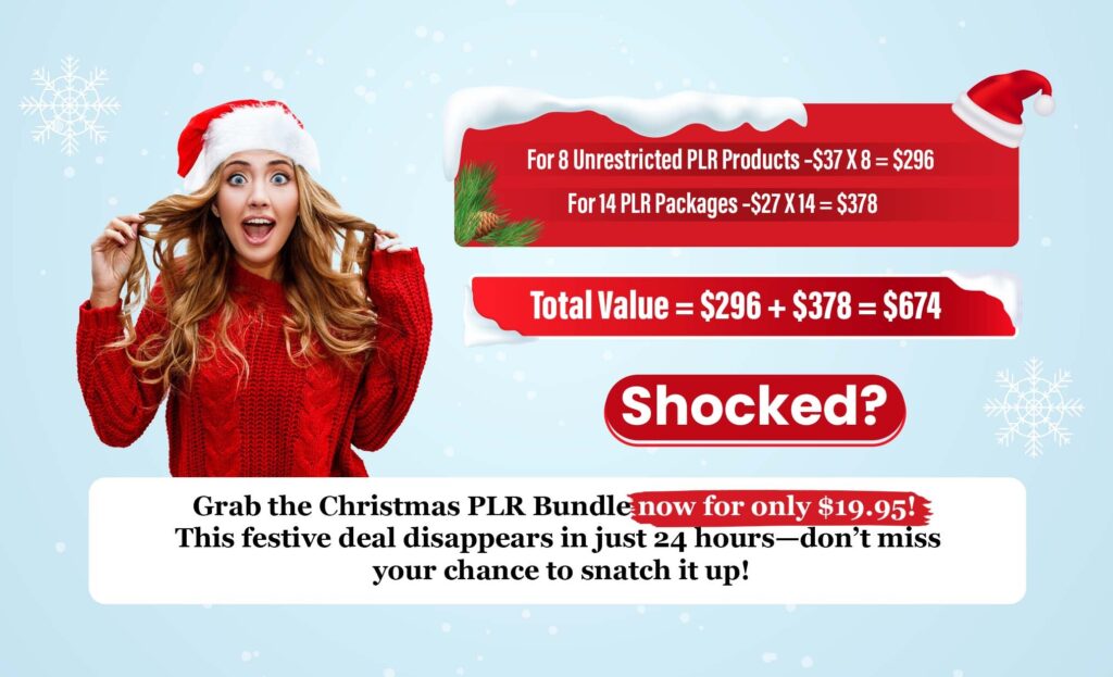 Christmas PLR Bundle Deal 2025