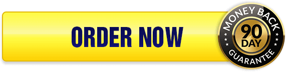 Access AI Professor software official website